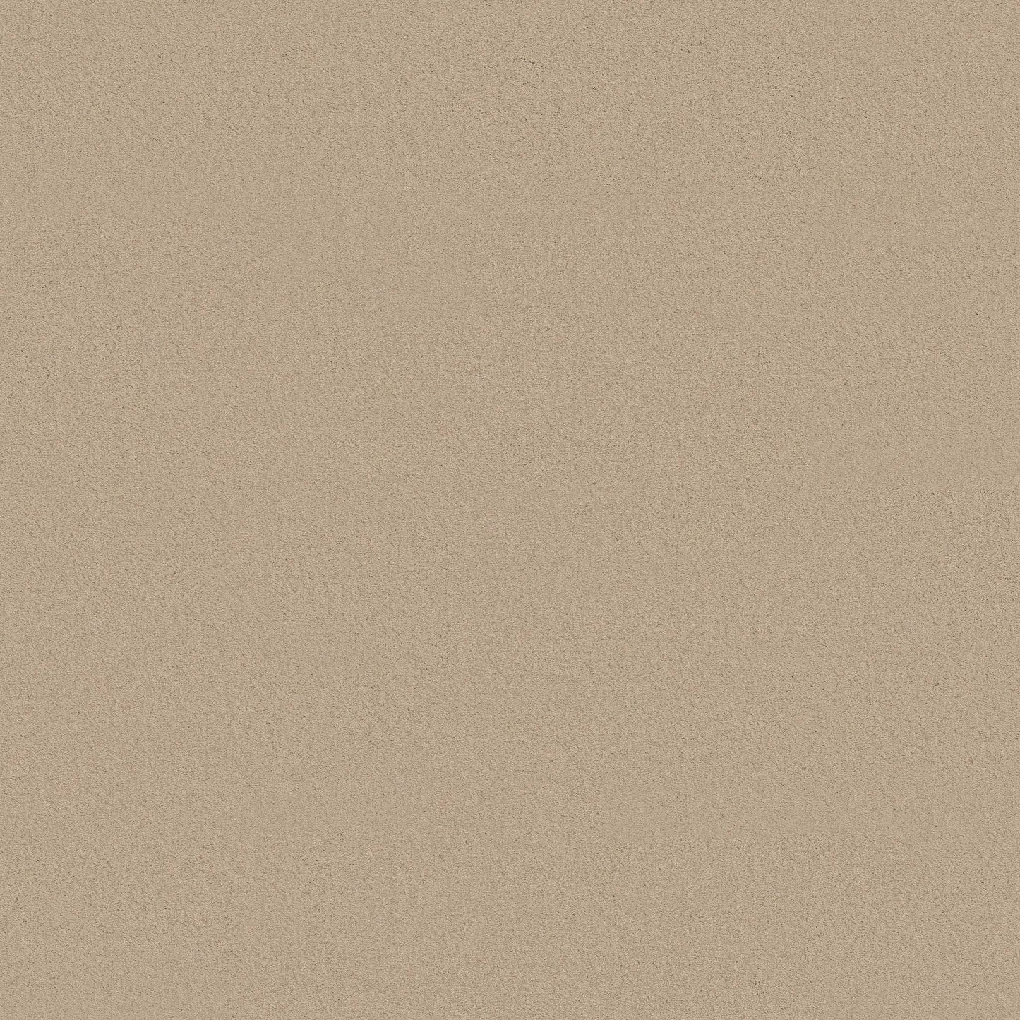 TEXTURE BCF