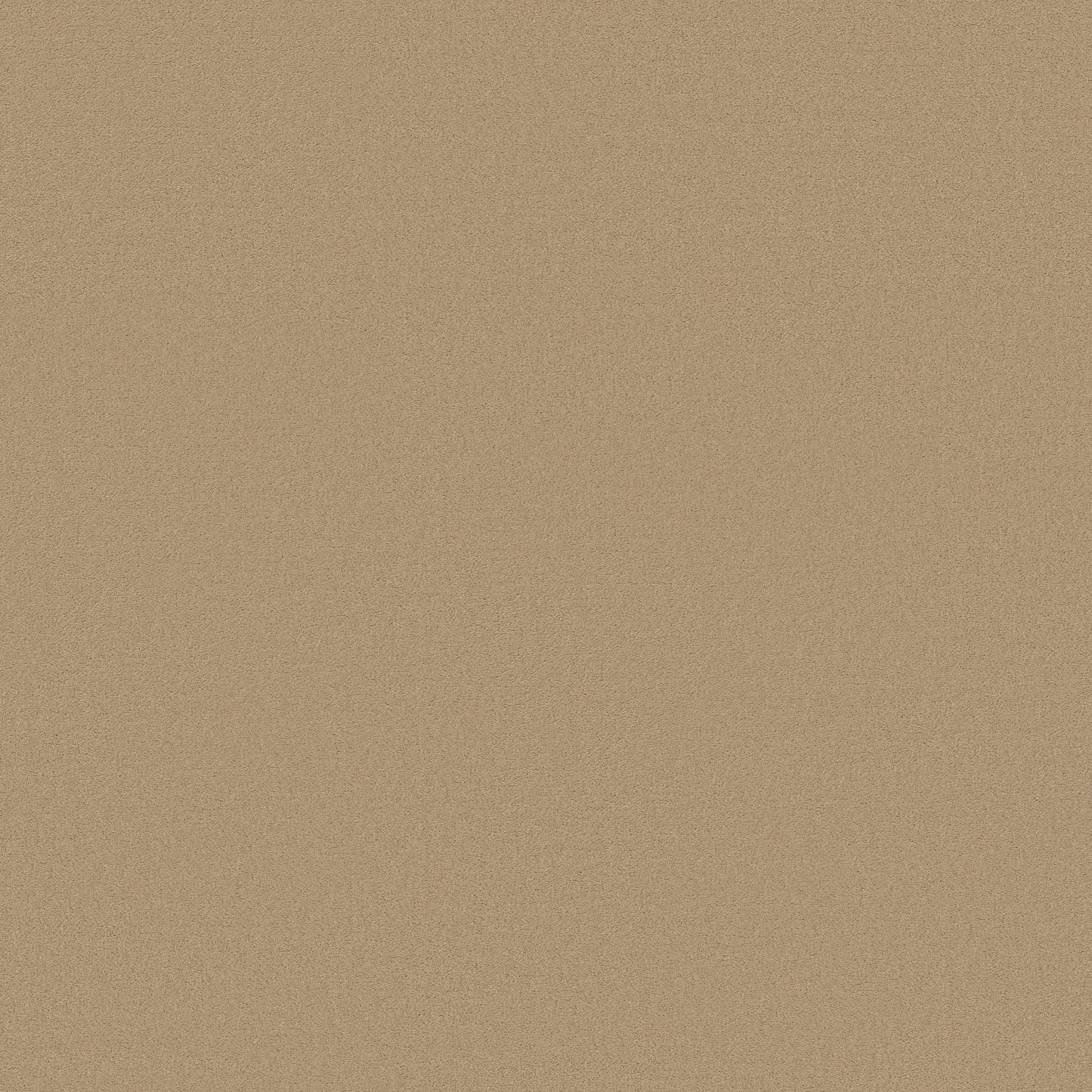 TEXTURE BCF