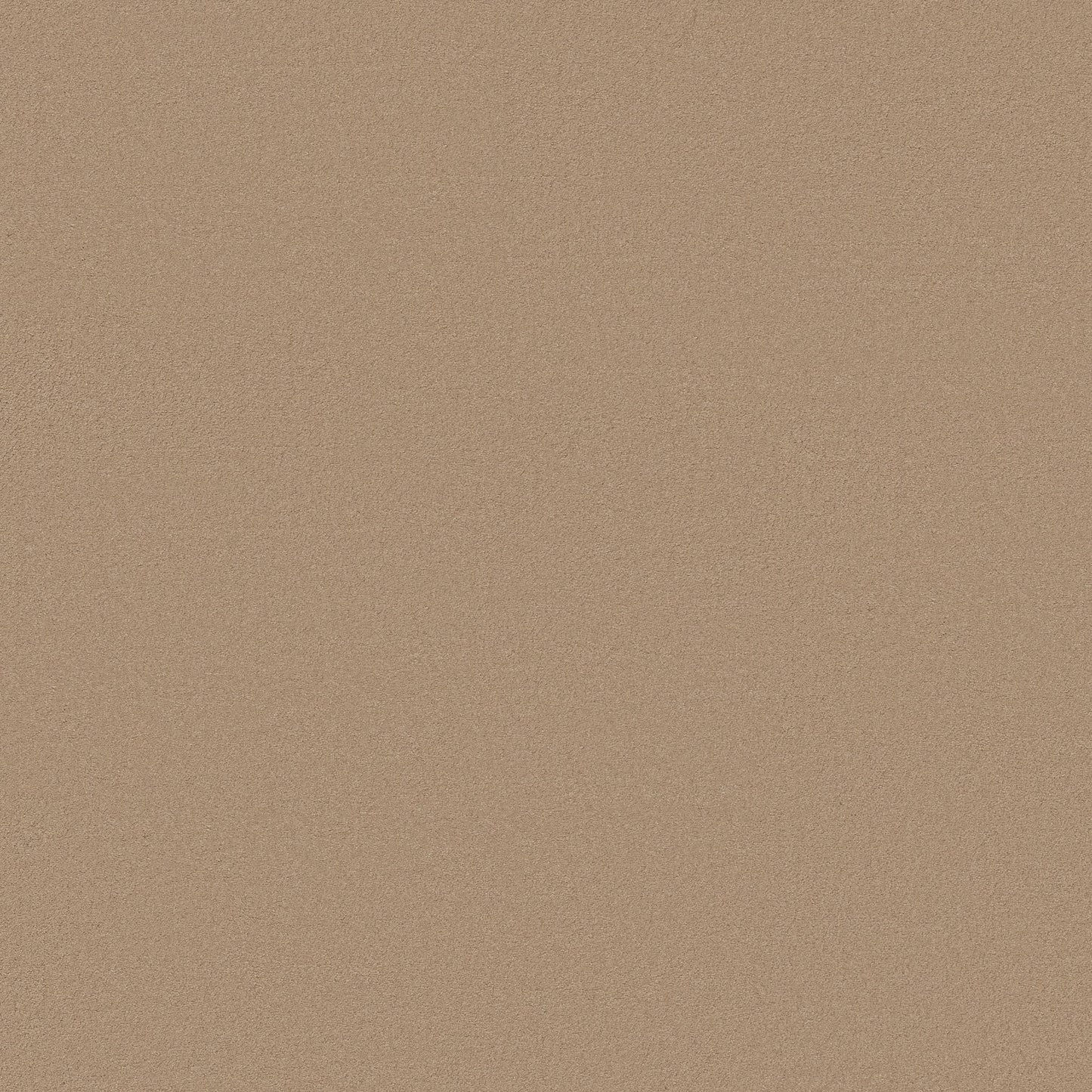 TEXTURE BCF