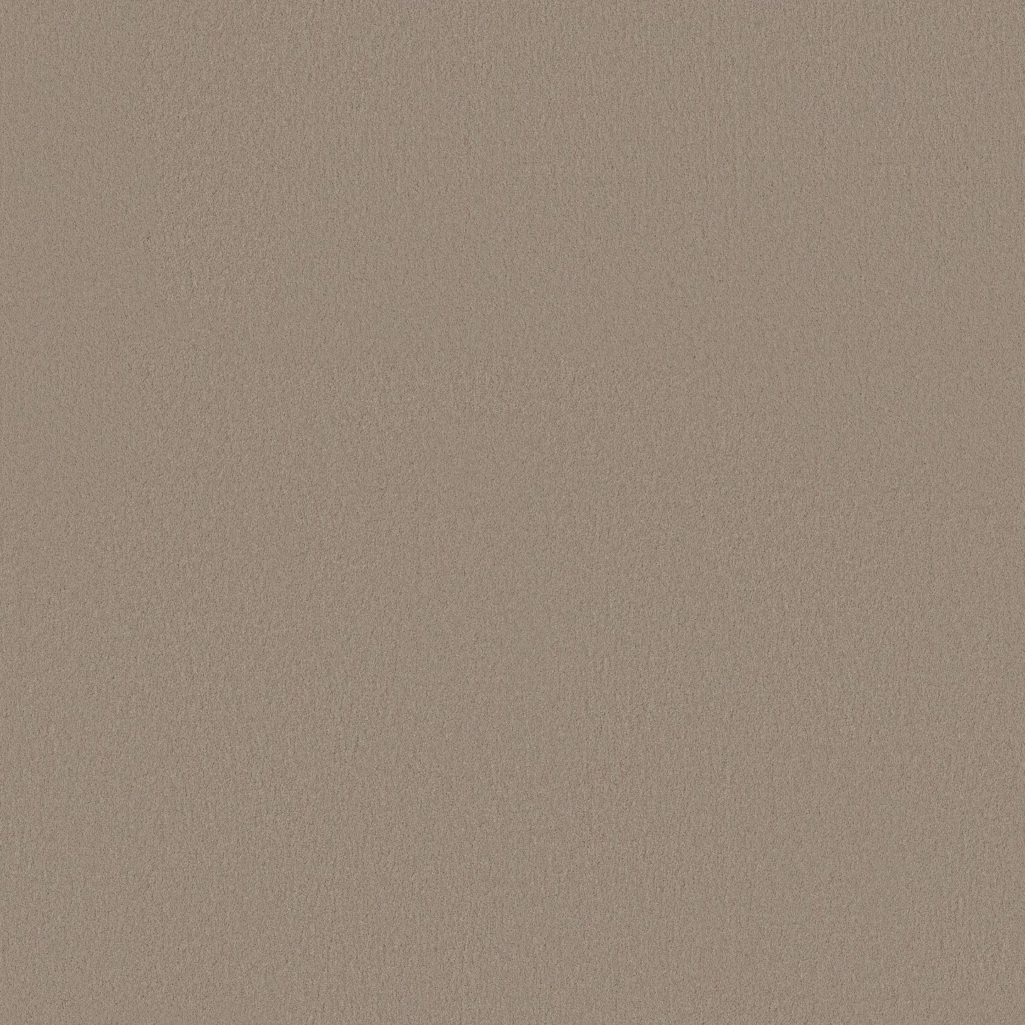 TEXTURE BCF