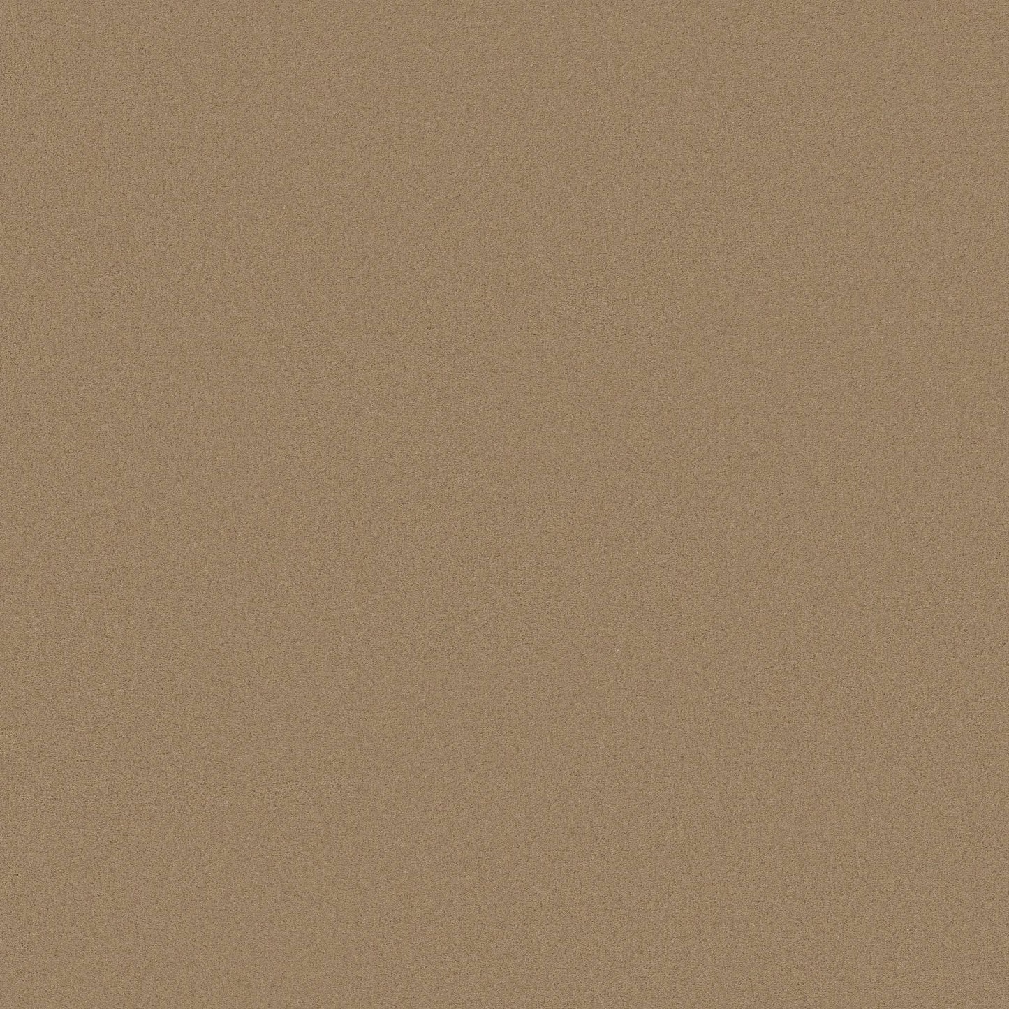 TEXTURE BCF