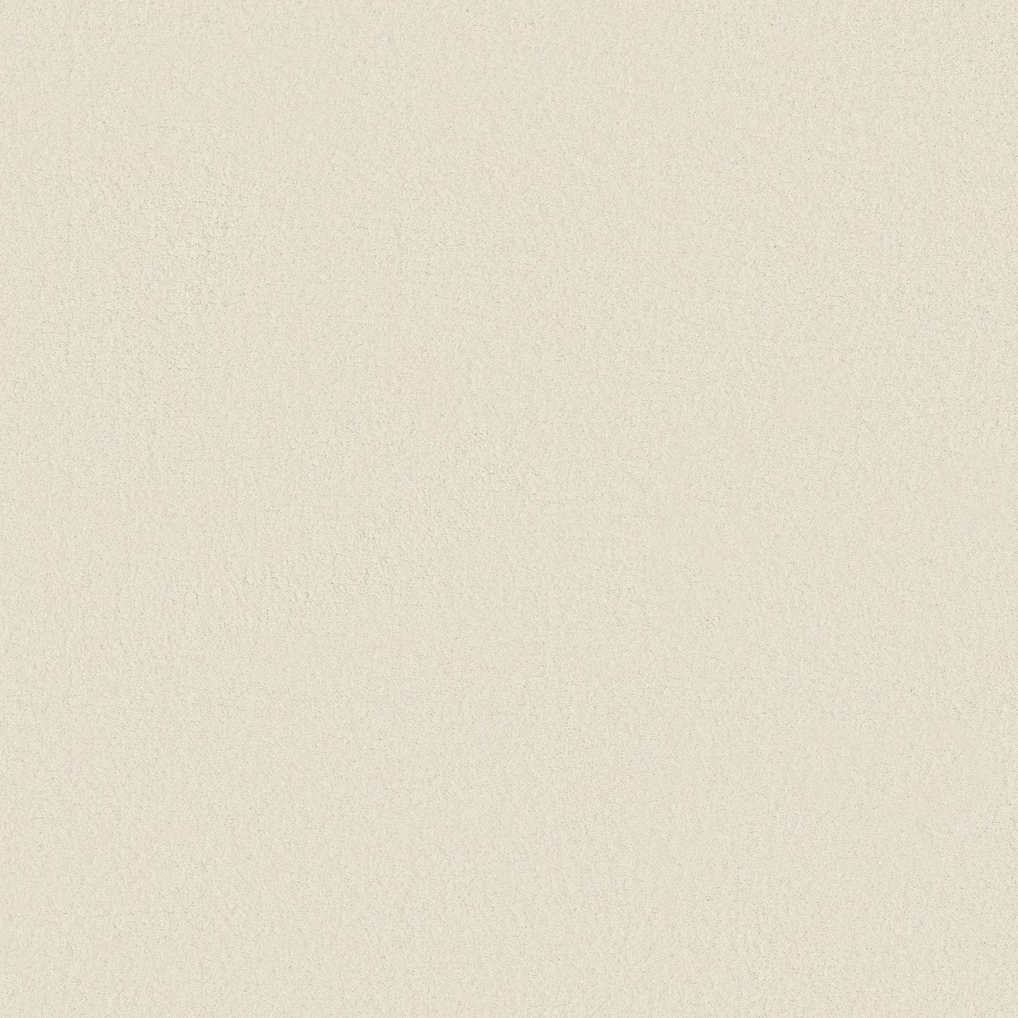 TEXTURE BCF