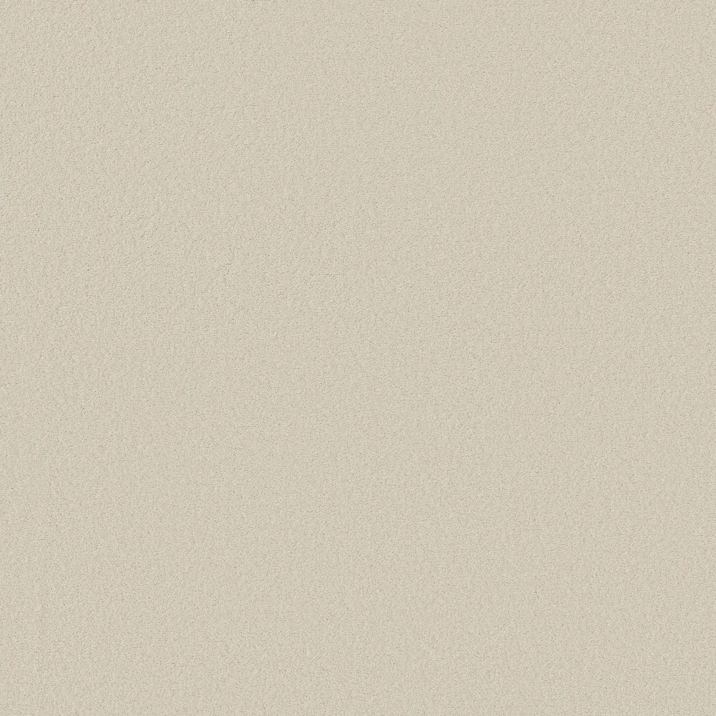 TEXTURE BCF
