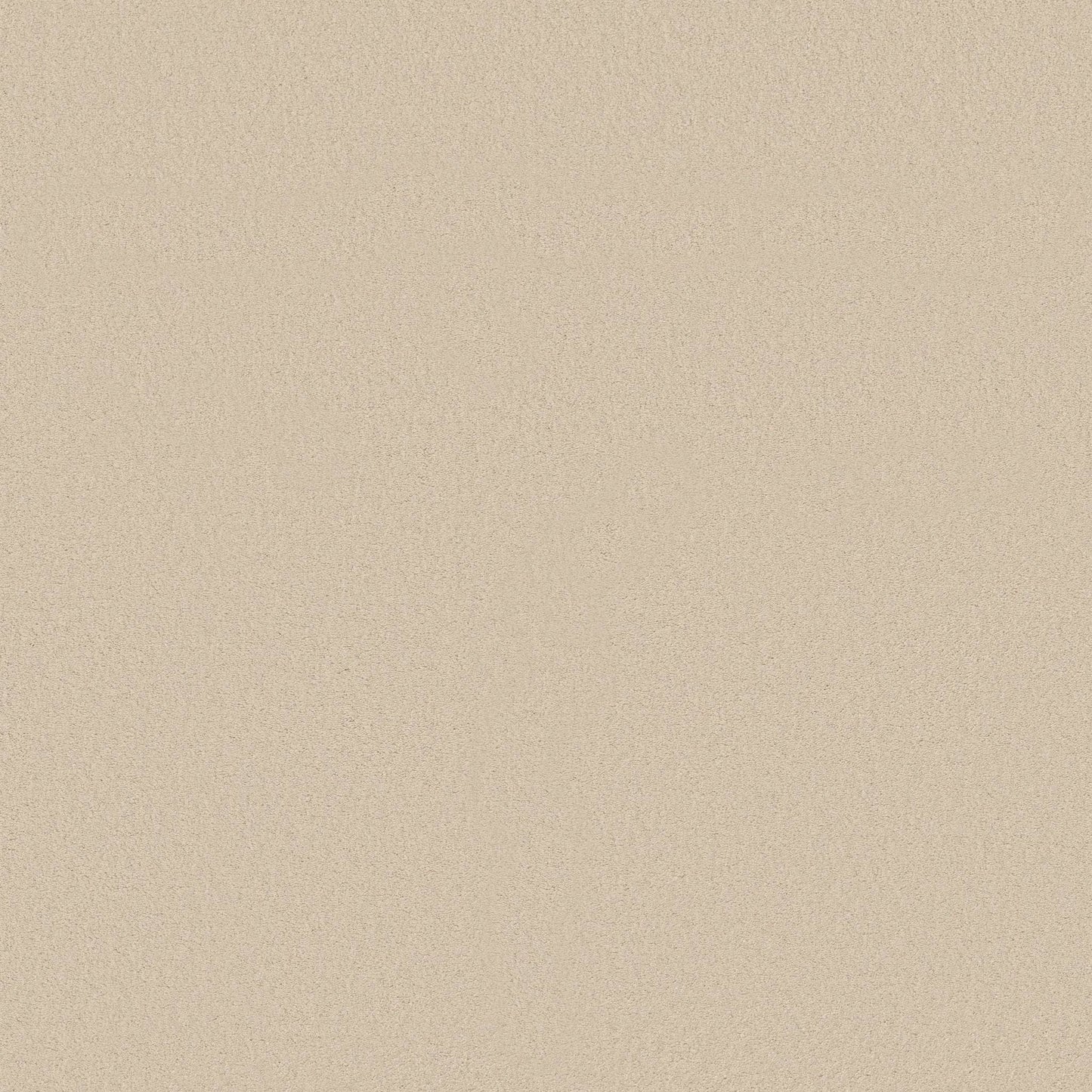 TEXTURE BCF