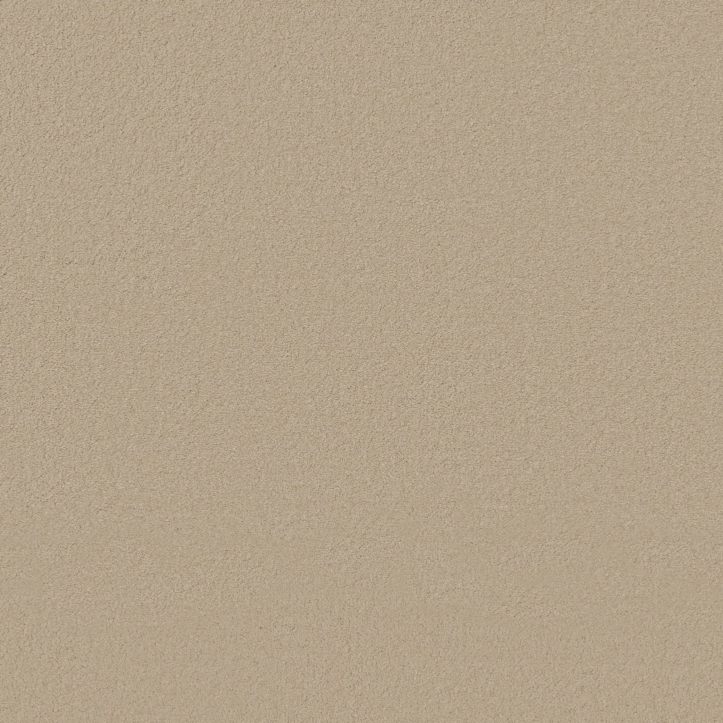 TEXTURE BCF