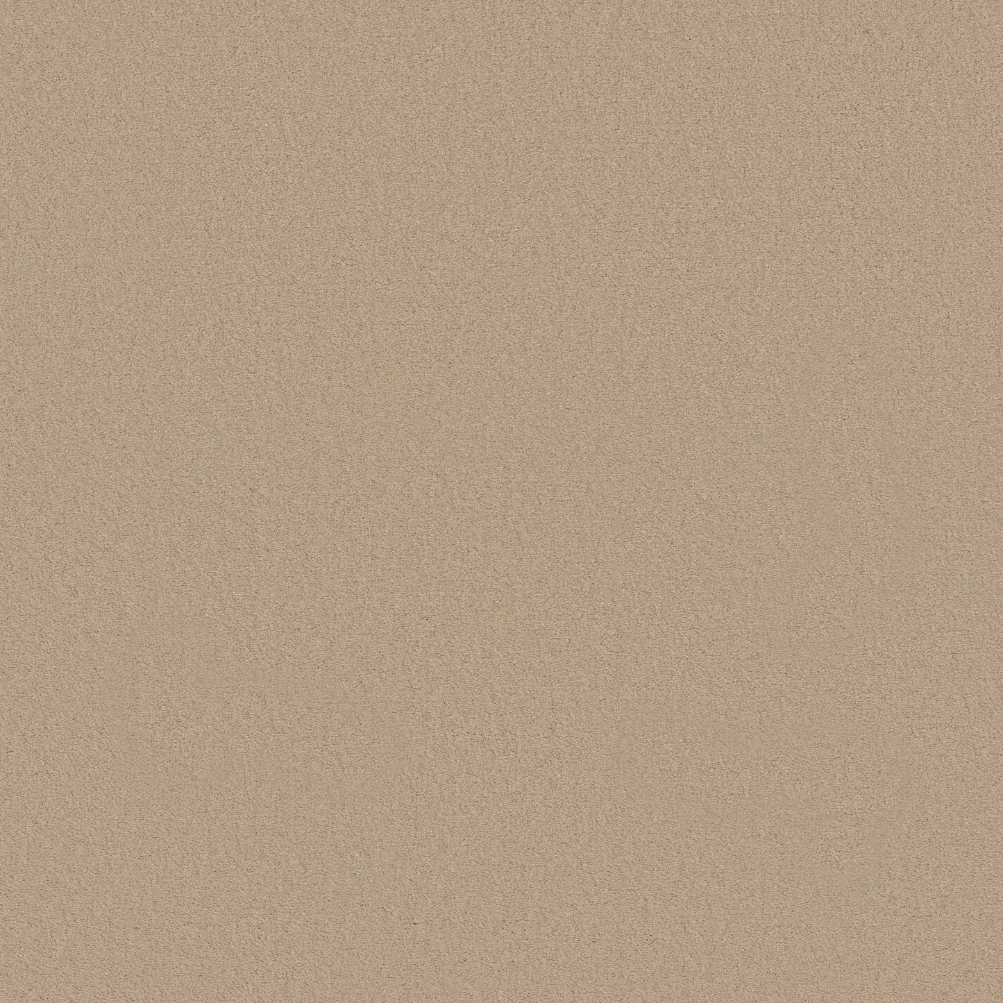 TEXTURE BCF