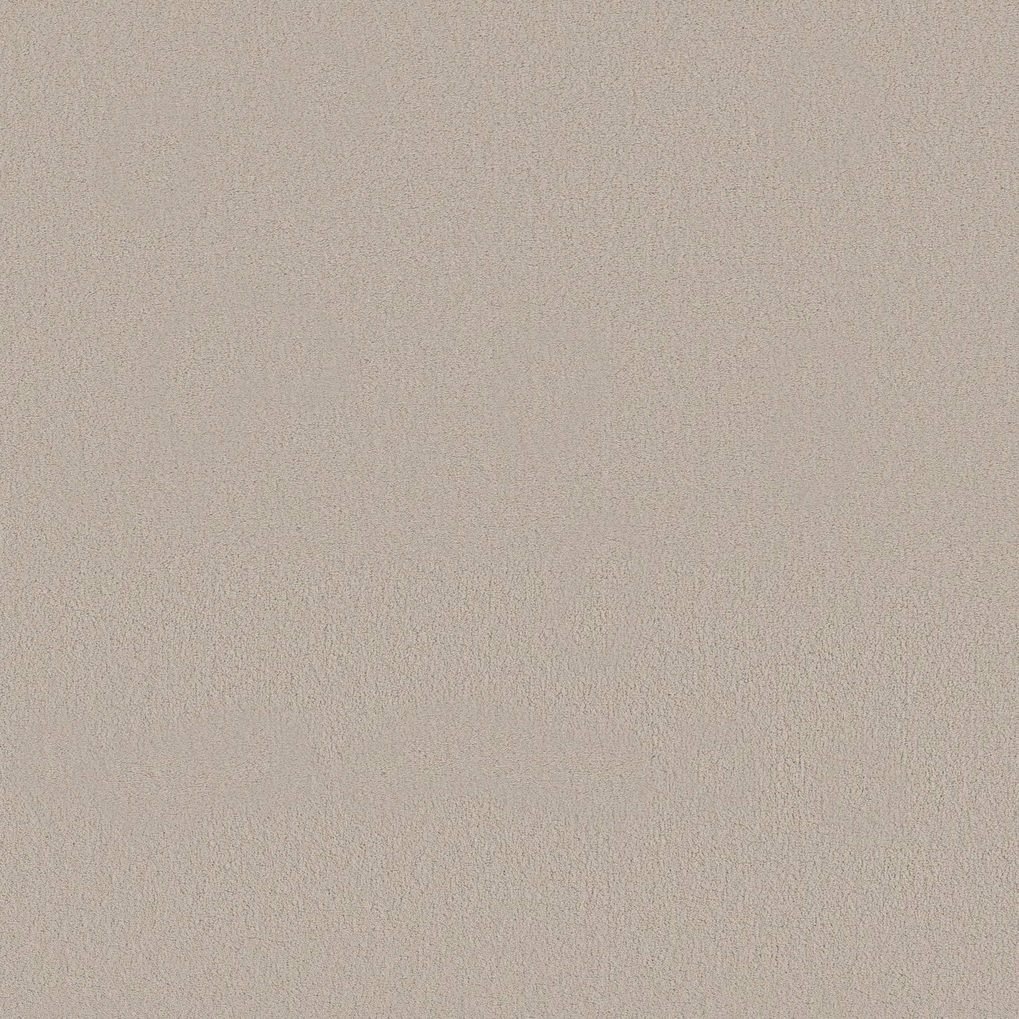 TEXTURE BCF