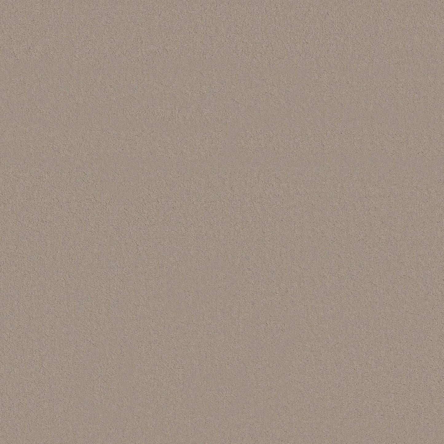 TEXTURE BCF
