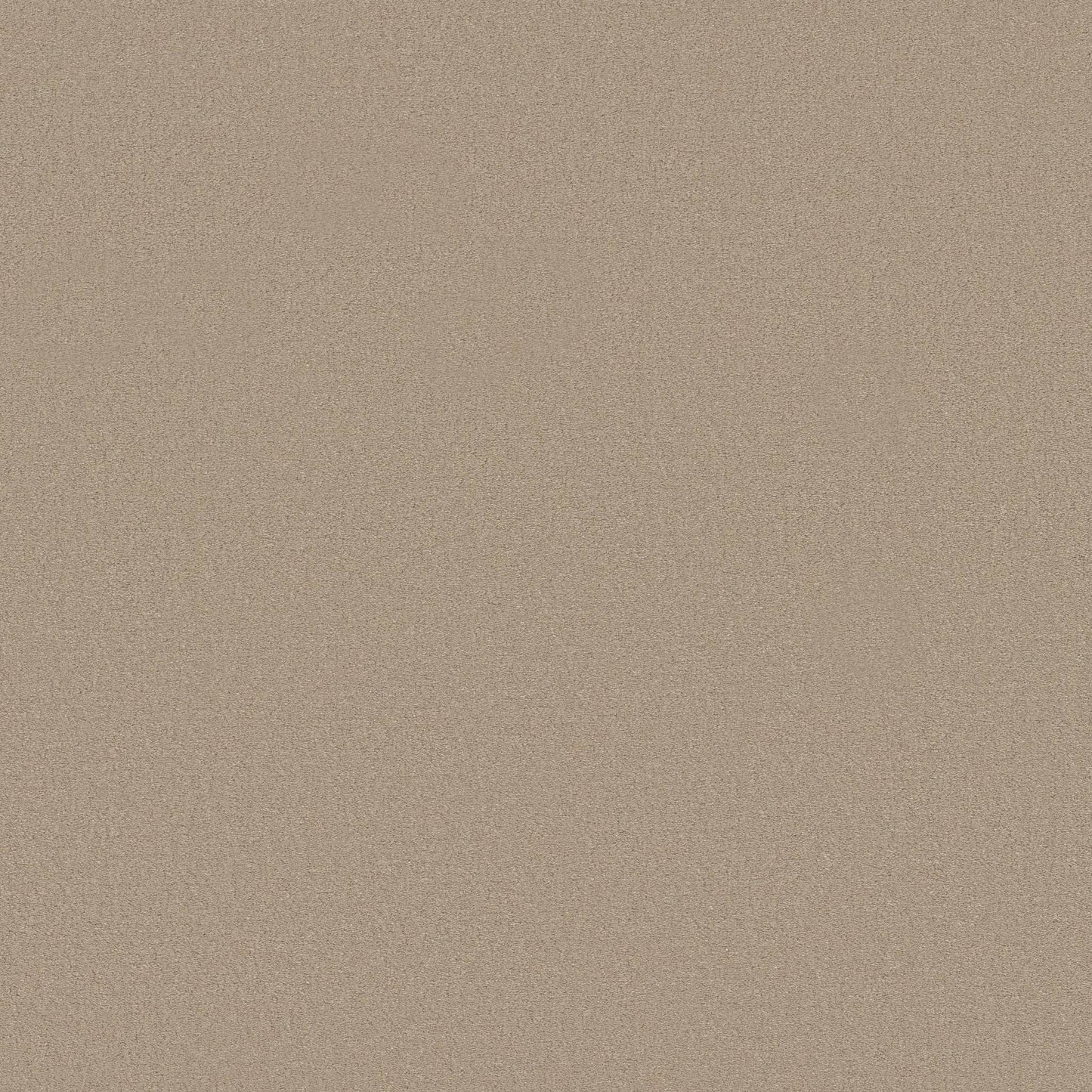 TEXTURE BCF
