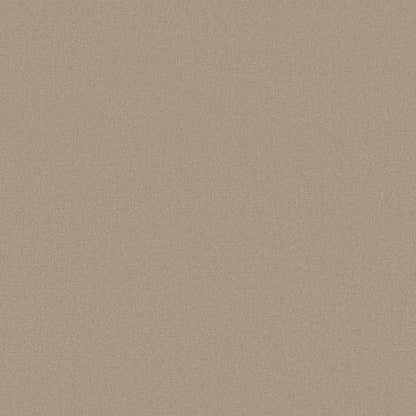 TEXTURE BCF