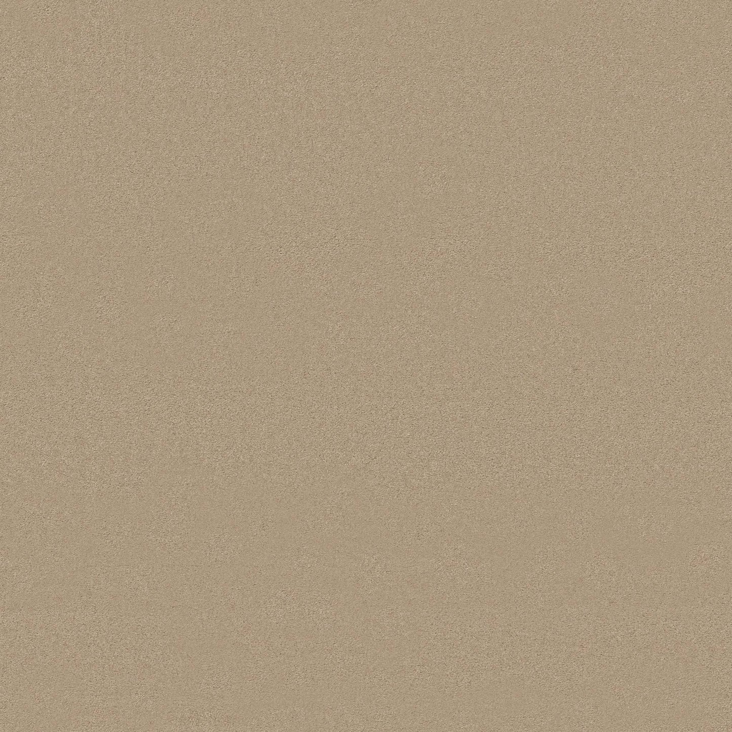 TEXTURE BCF