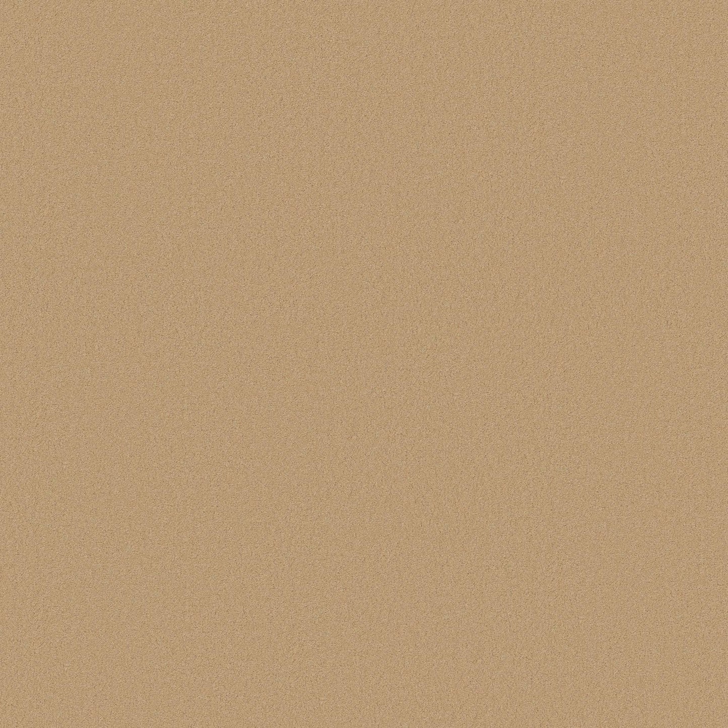 TEXTURE BCF
