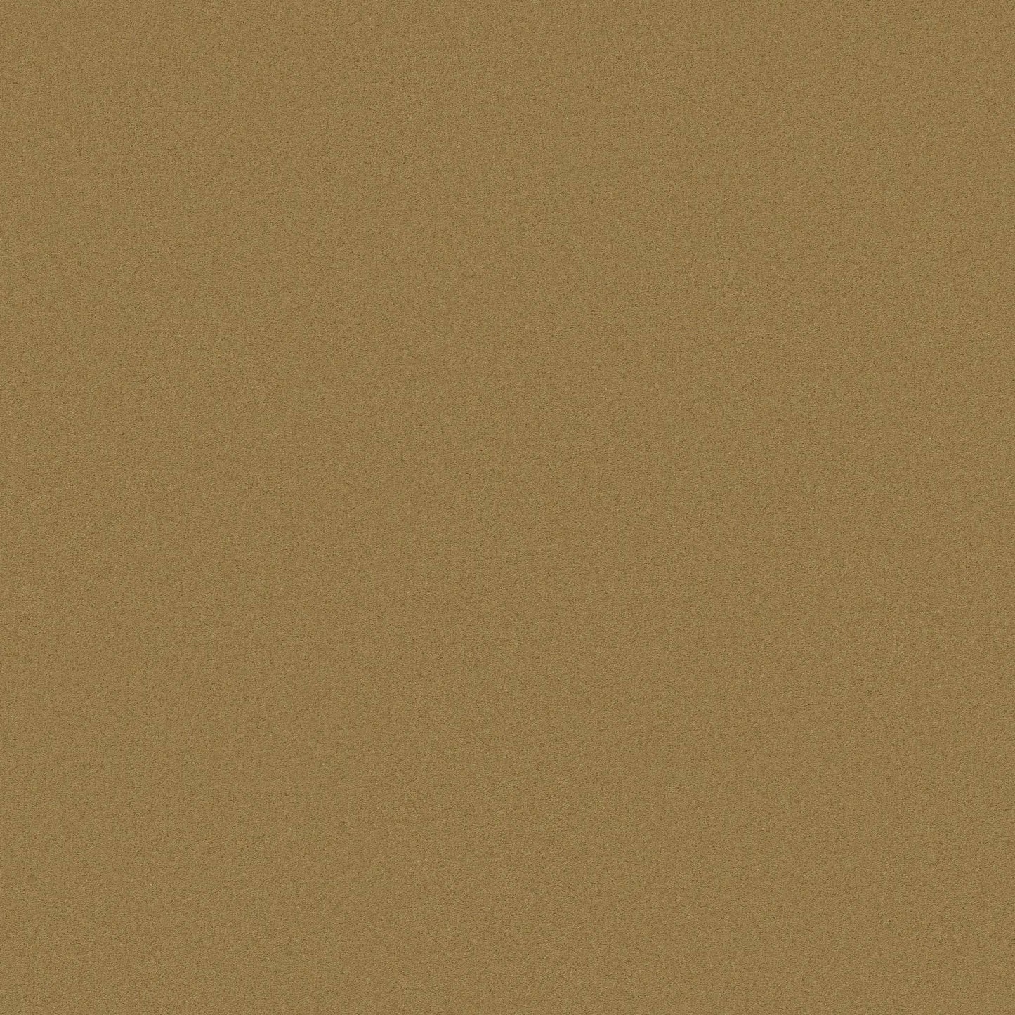 TEXTURE BCF
