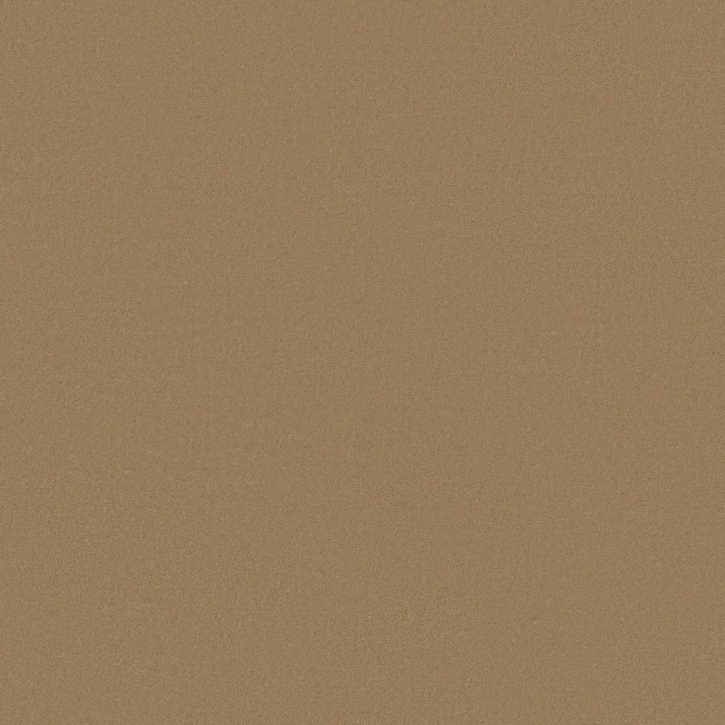 TEXTURE BCF