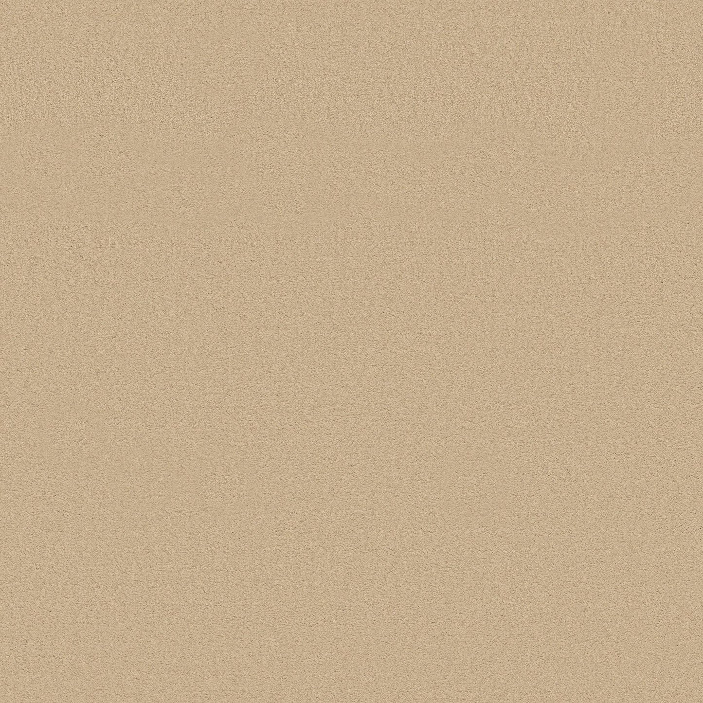 TEXTURE BCF