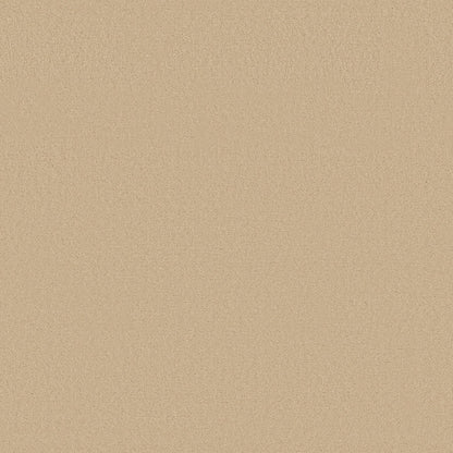 TEXTURE BCF