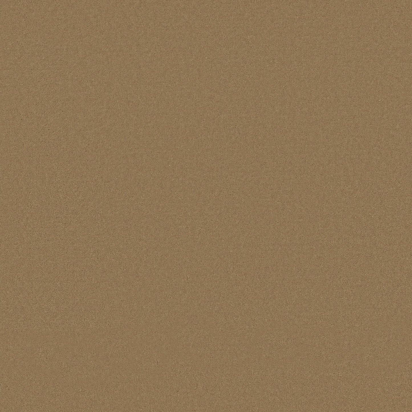TEXTURE BCF