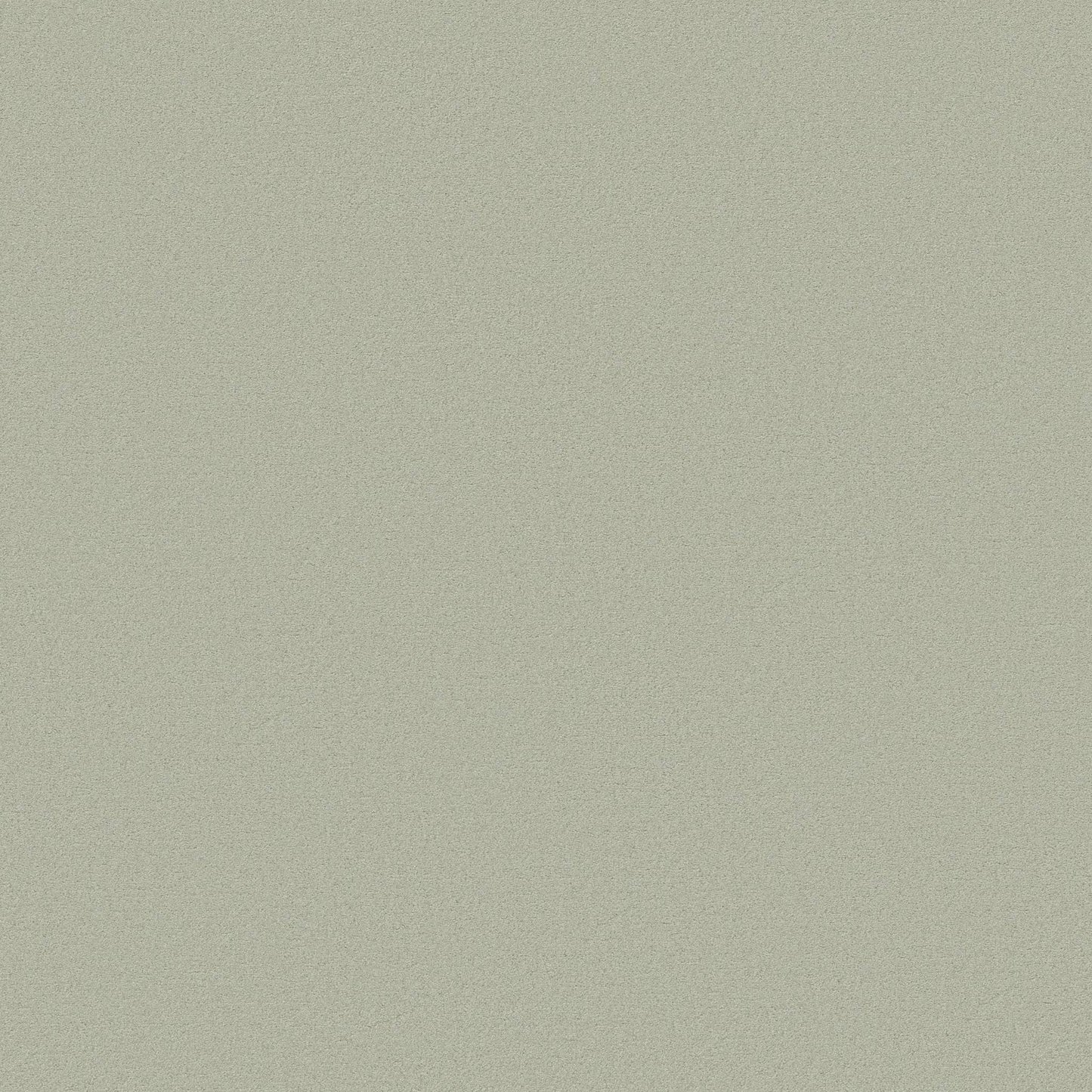 TEXTURE BCF
