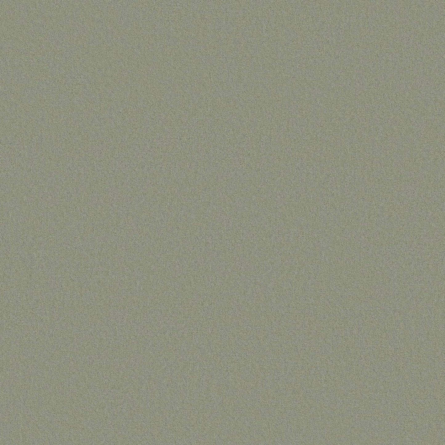 TEXTURE BCF