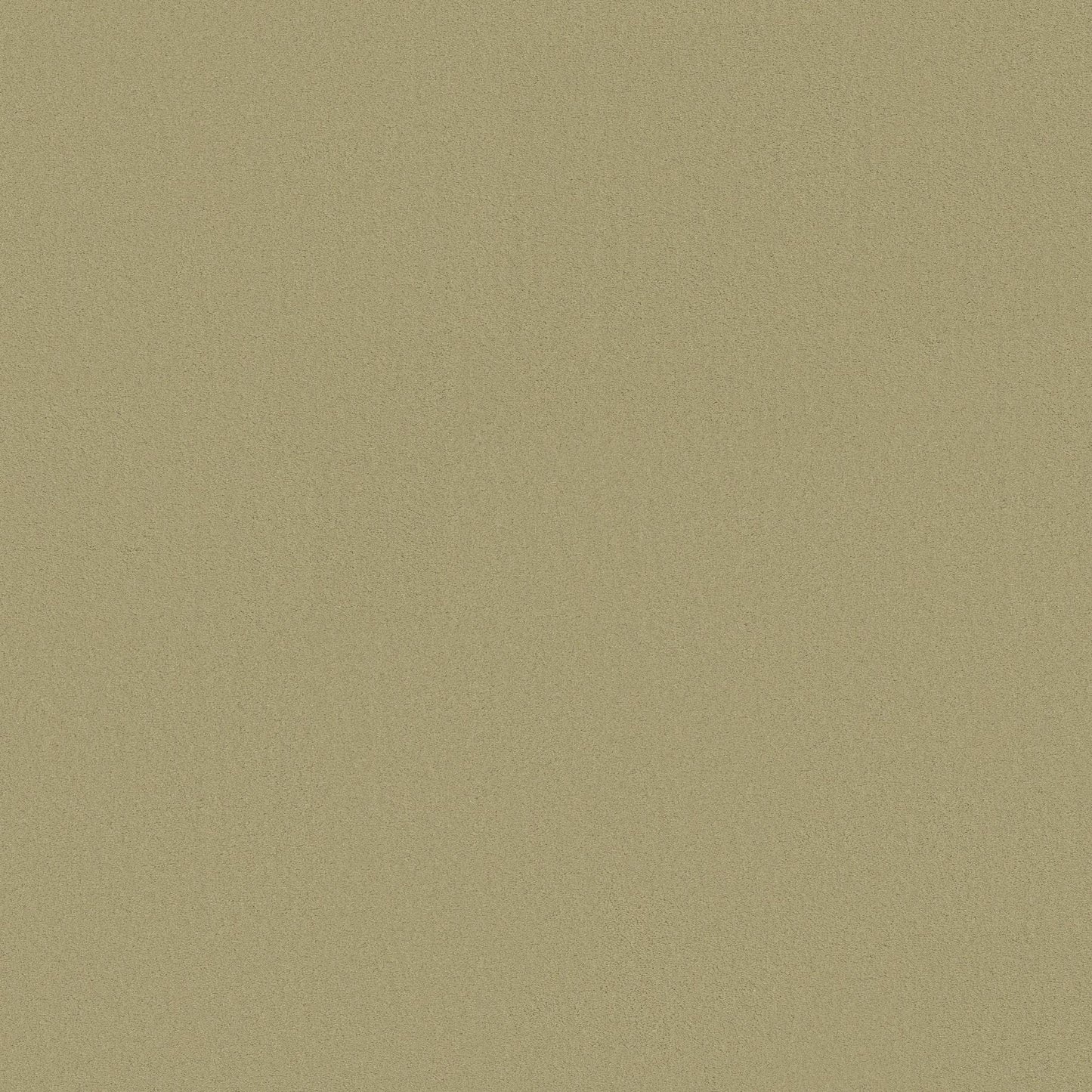 TEXTURE BCF
