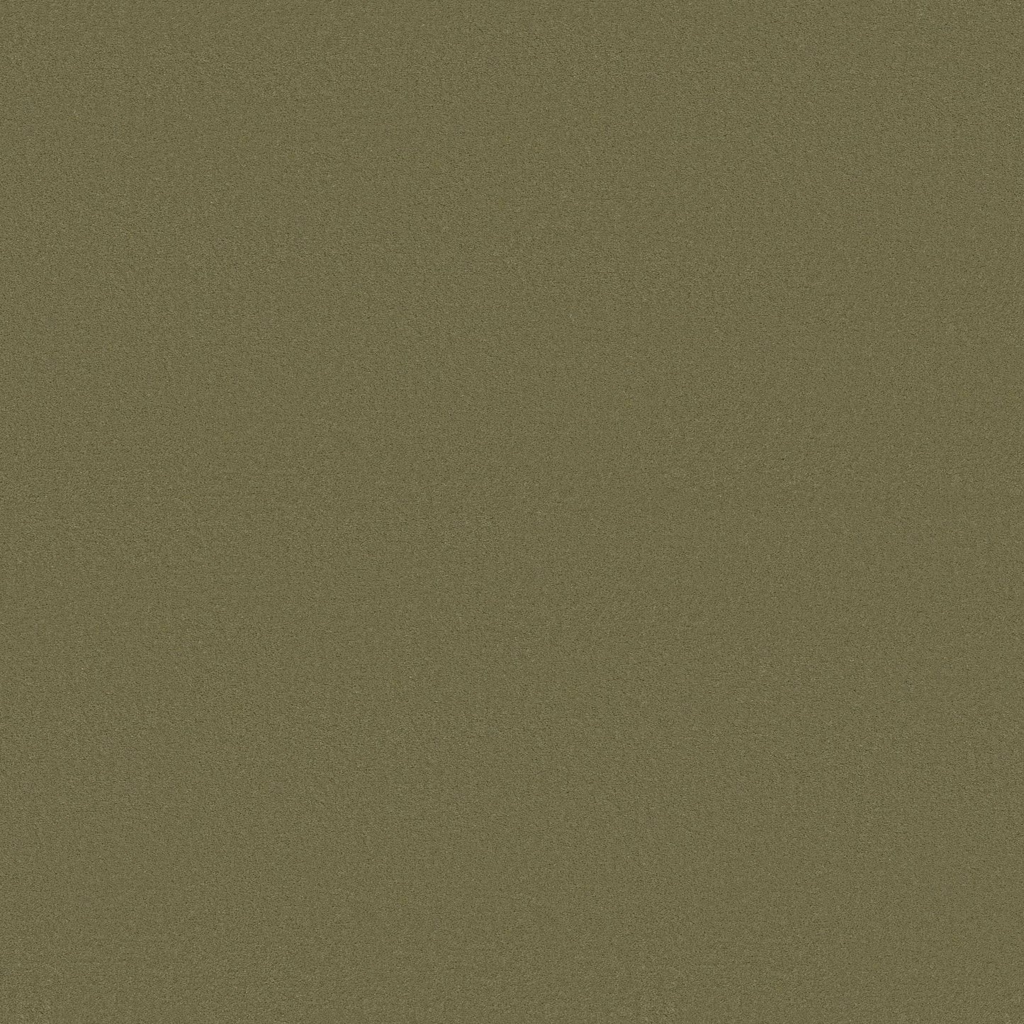 TEXTURE BCF
