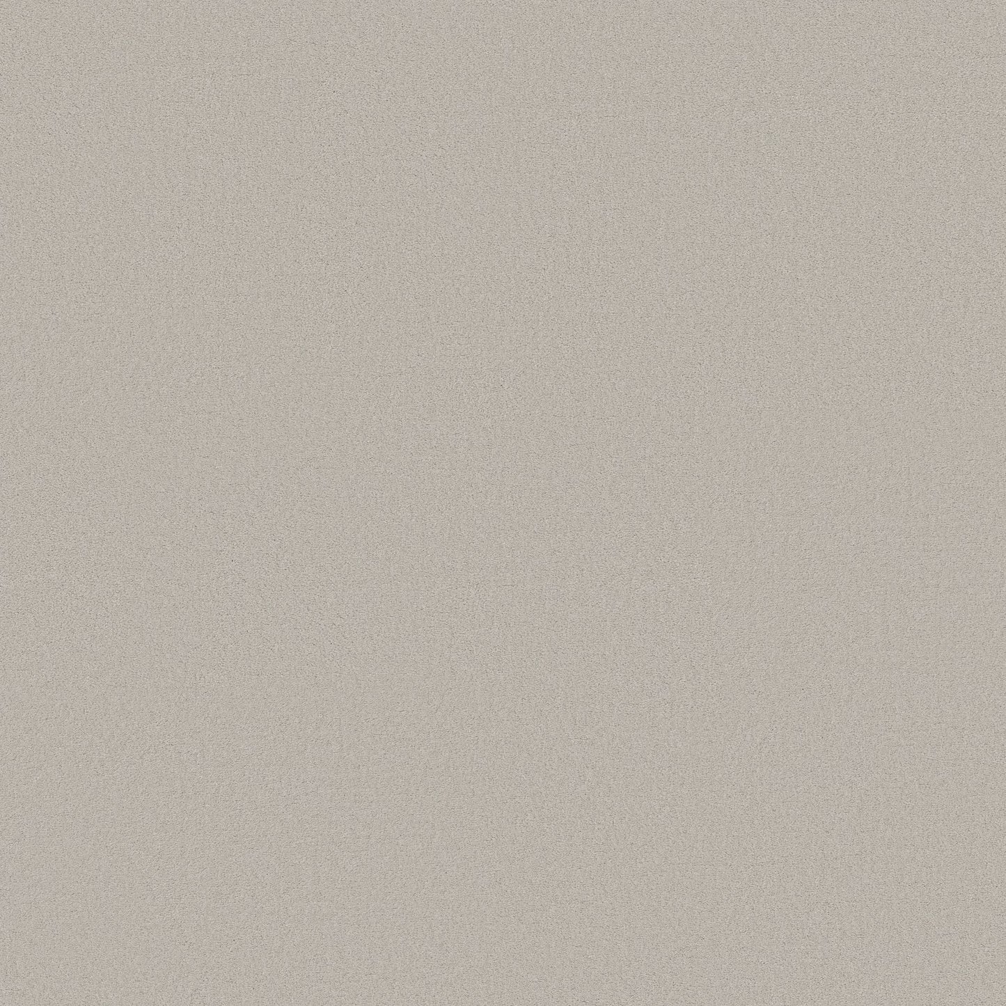 TEXTURE BCF