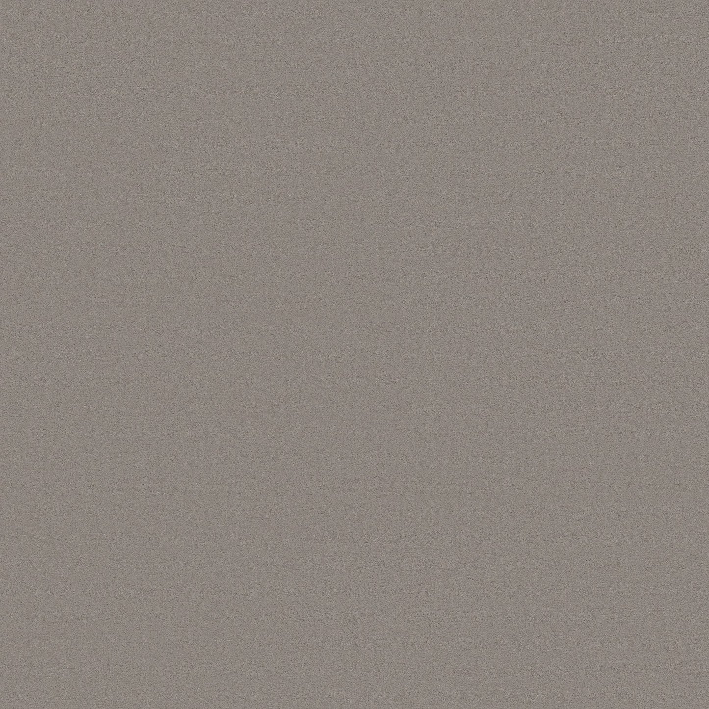 TEXTURE BCF