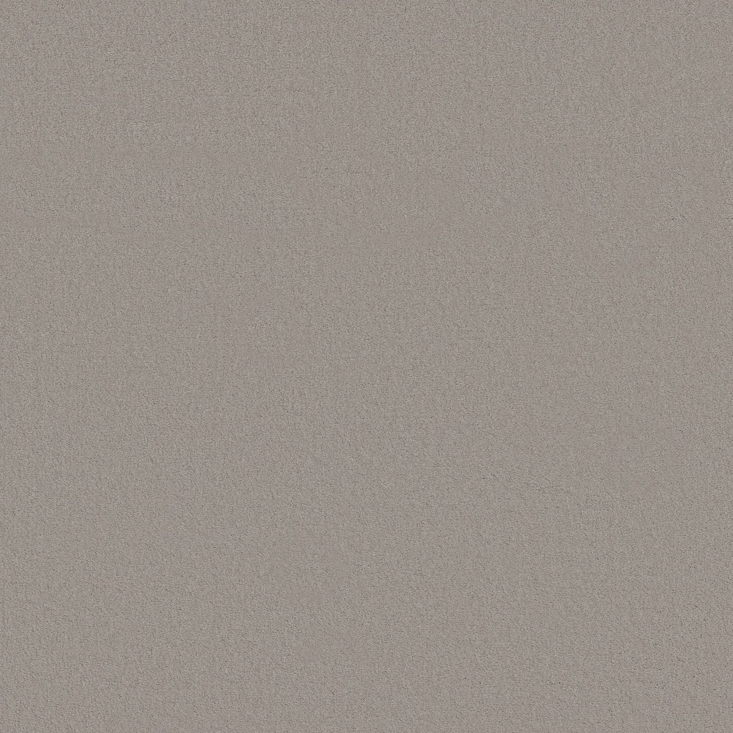 TEXTURE BCF