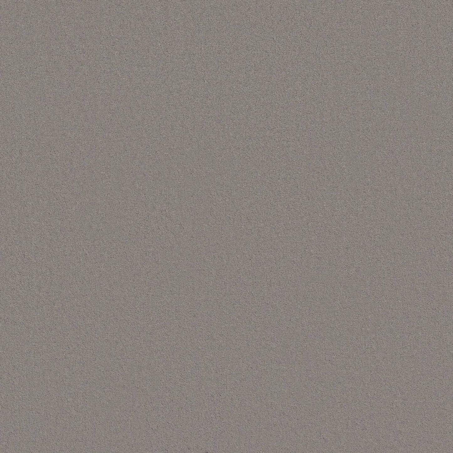 TEXTURE BCF