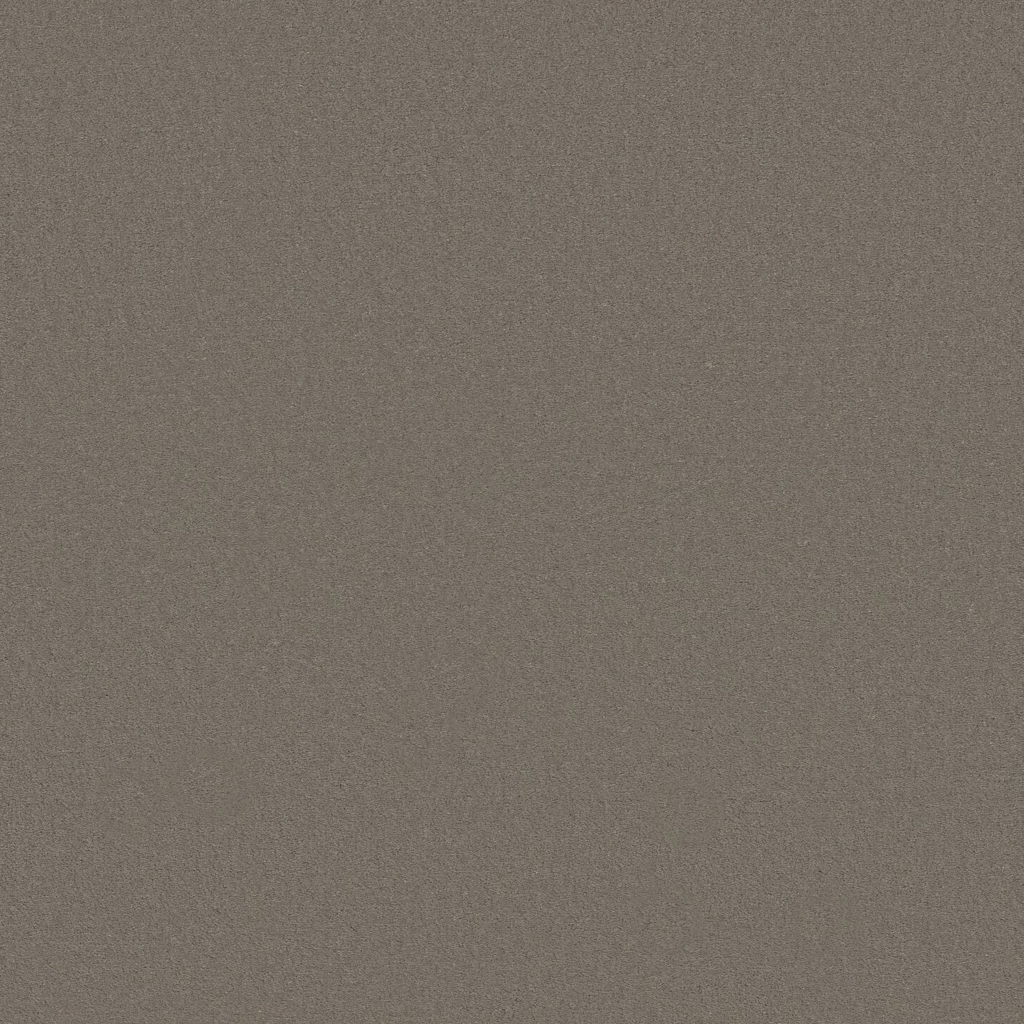 TEXTURE BCF
