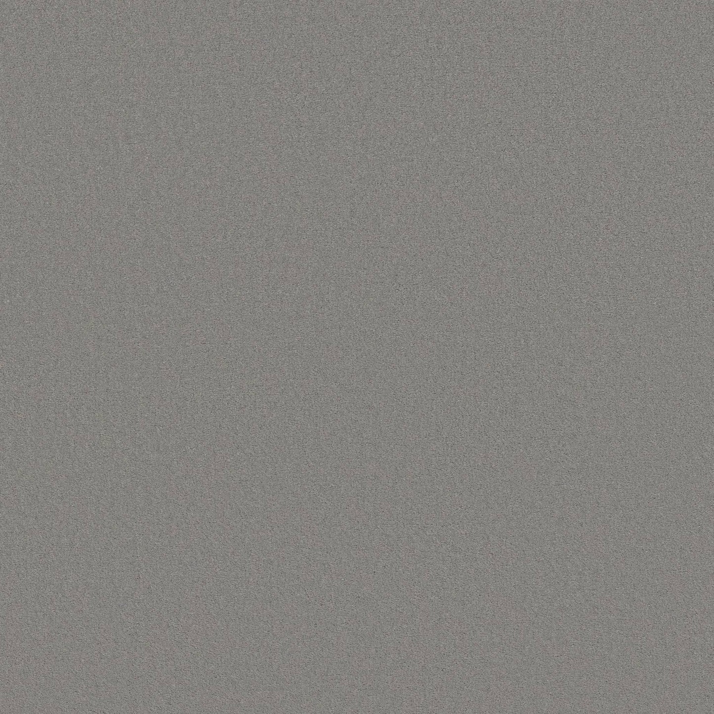 TEXTURE BCF