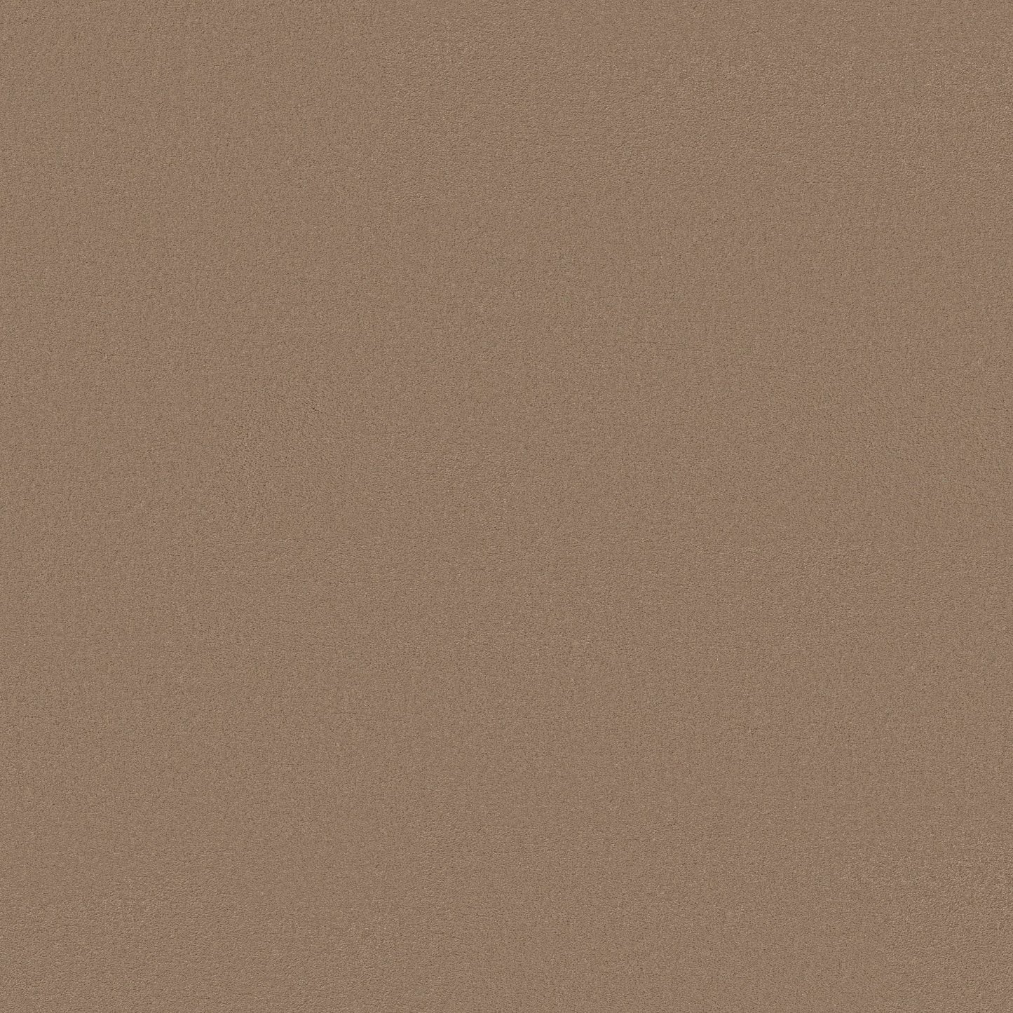 TEXTURE BCF