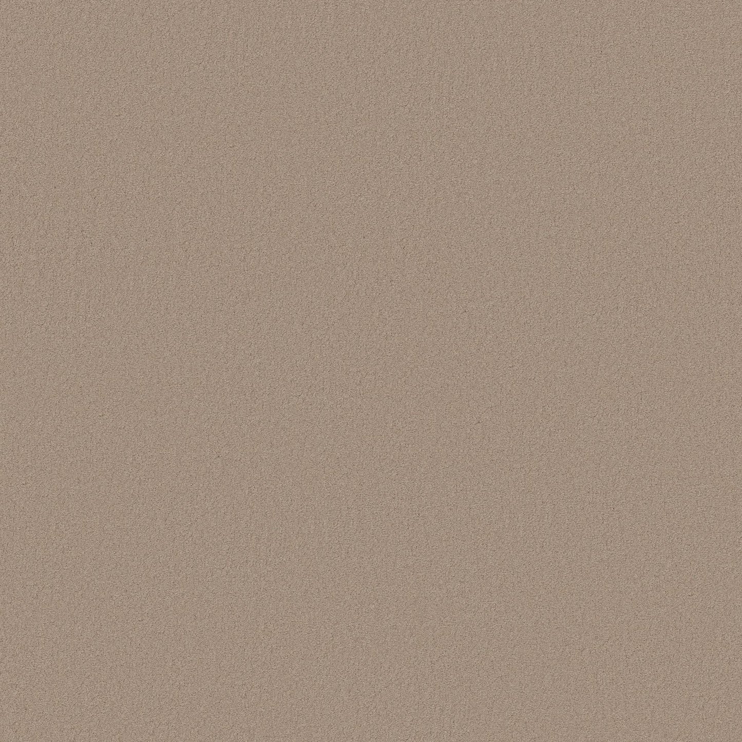 TEXTURE BCF