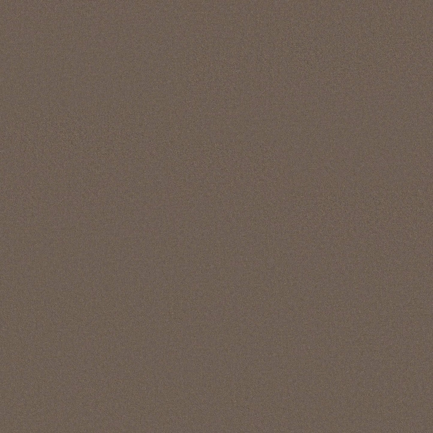 TEXTURE BCF