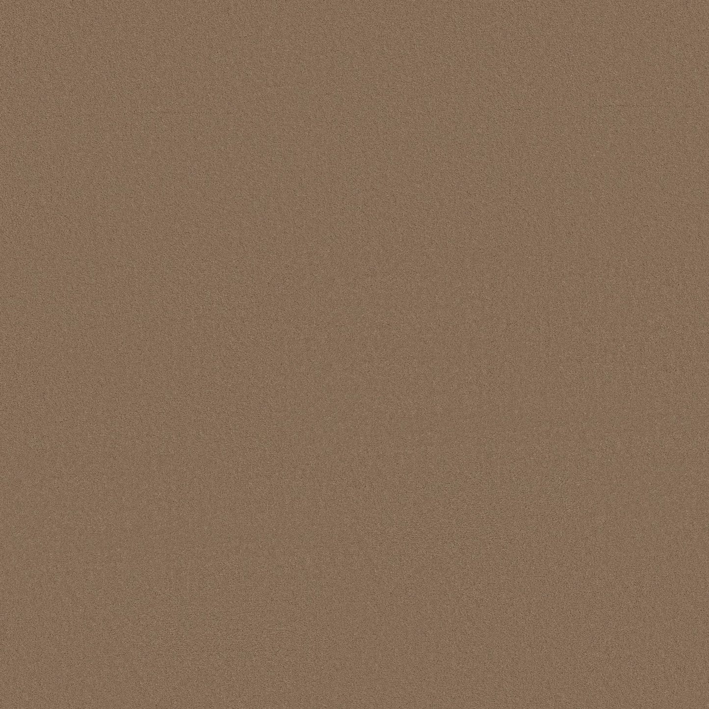 TEXTURE BCF