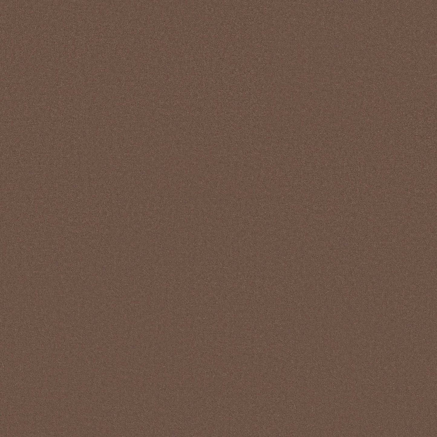 TEXTURE BCF