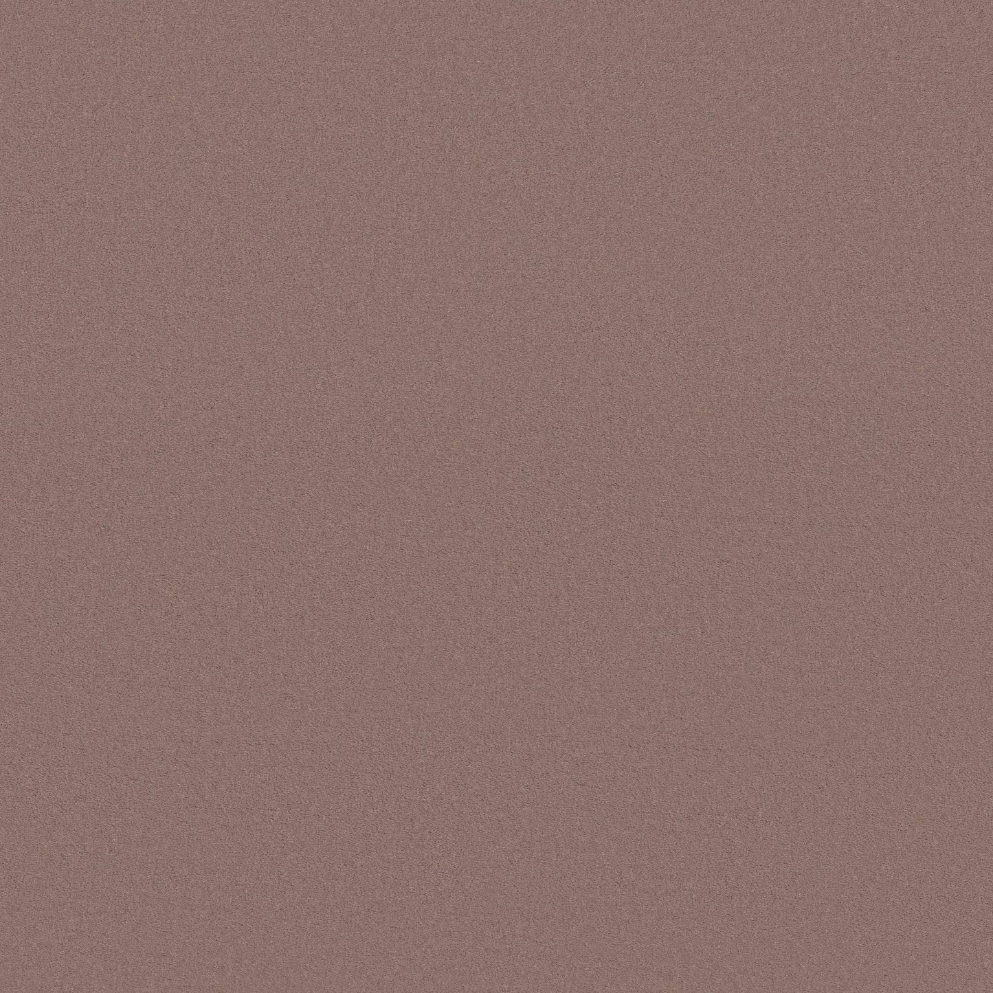 TEXTURE BCF