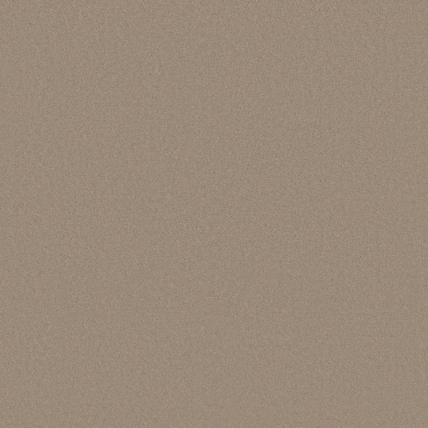 TEXTURE BCF