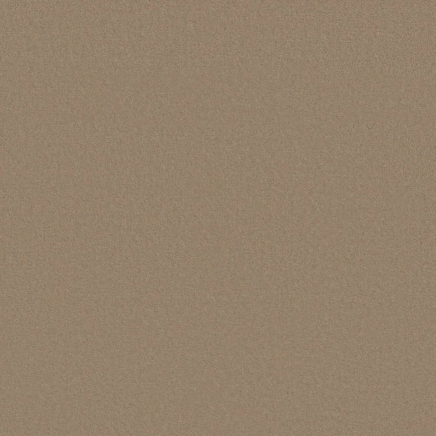 TEXTURE BCF