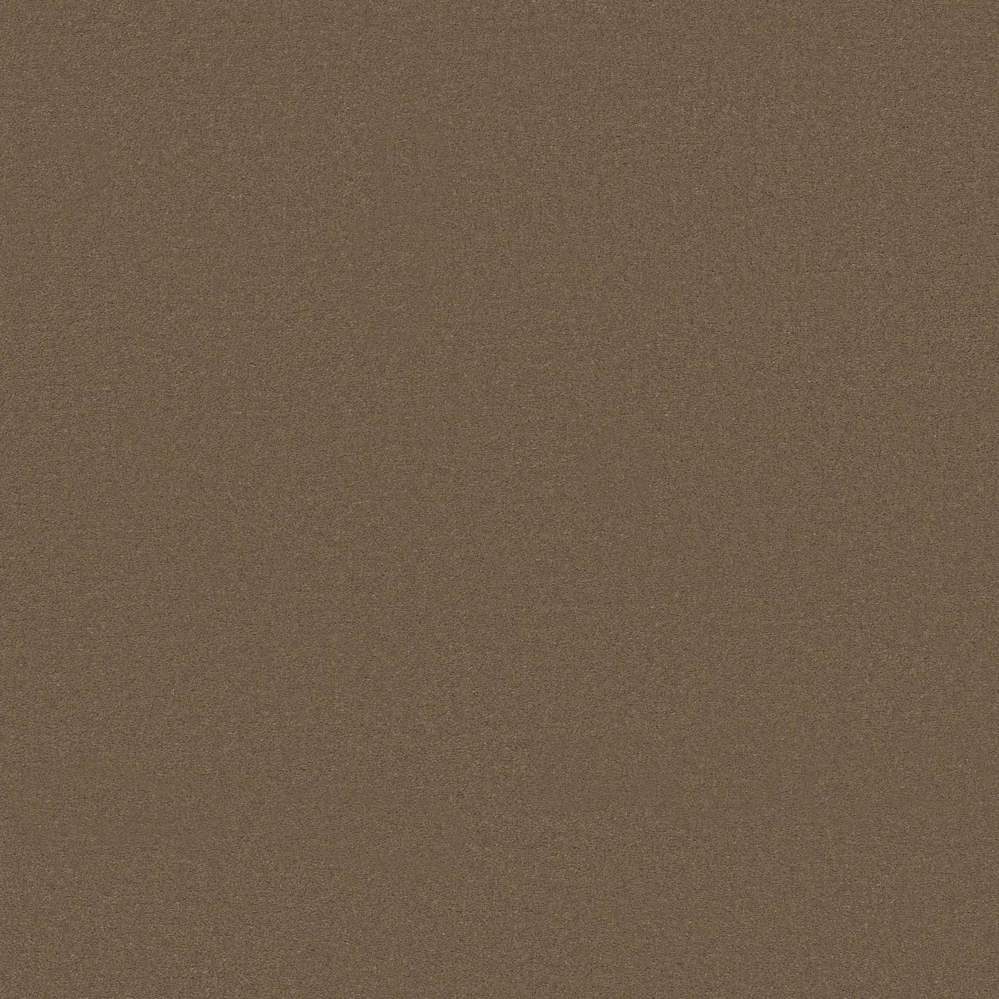 TEXTURE BCF