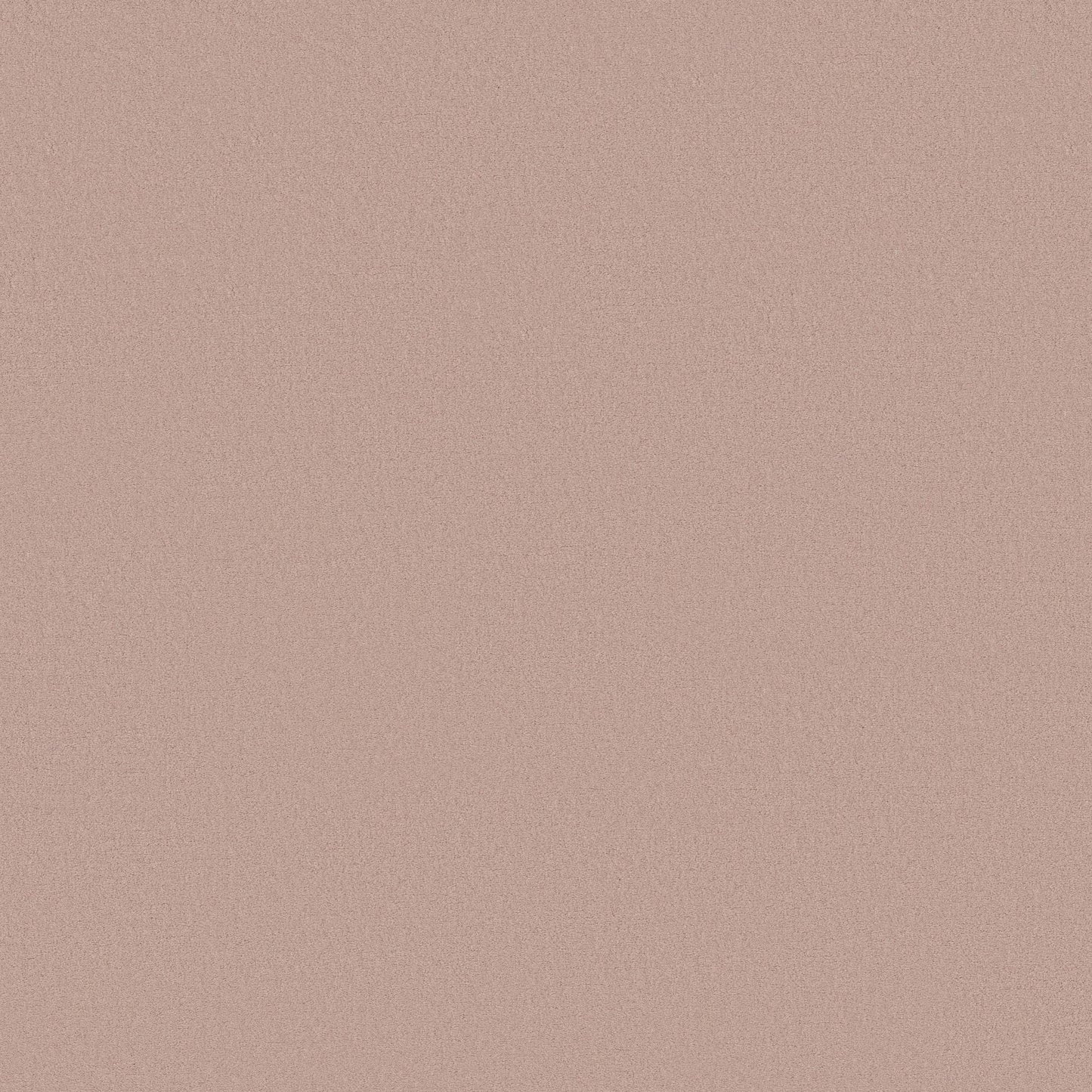 TEXTURE BCF