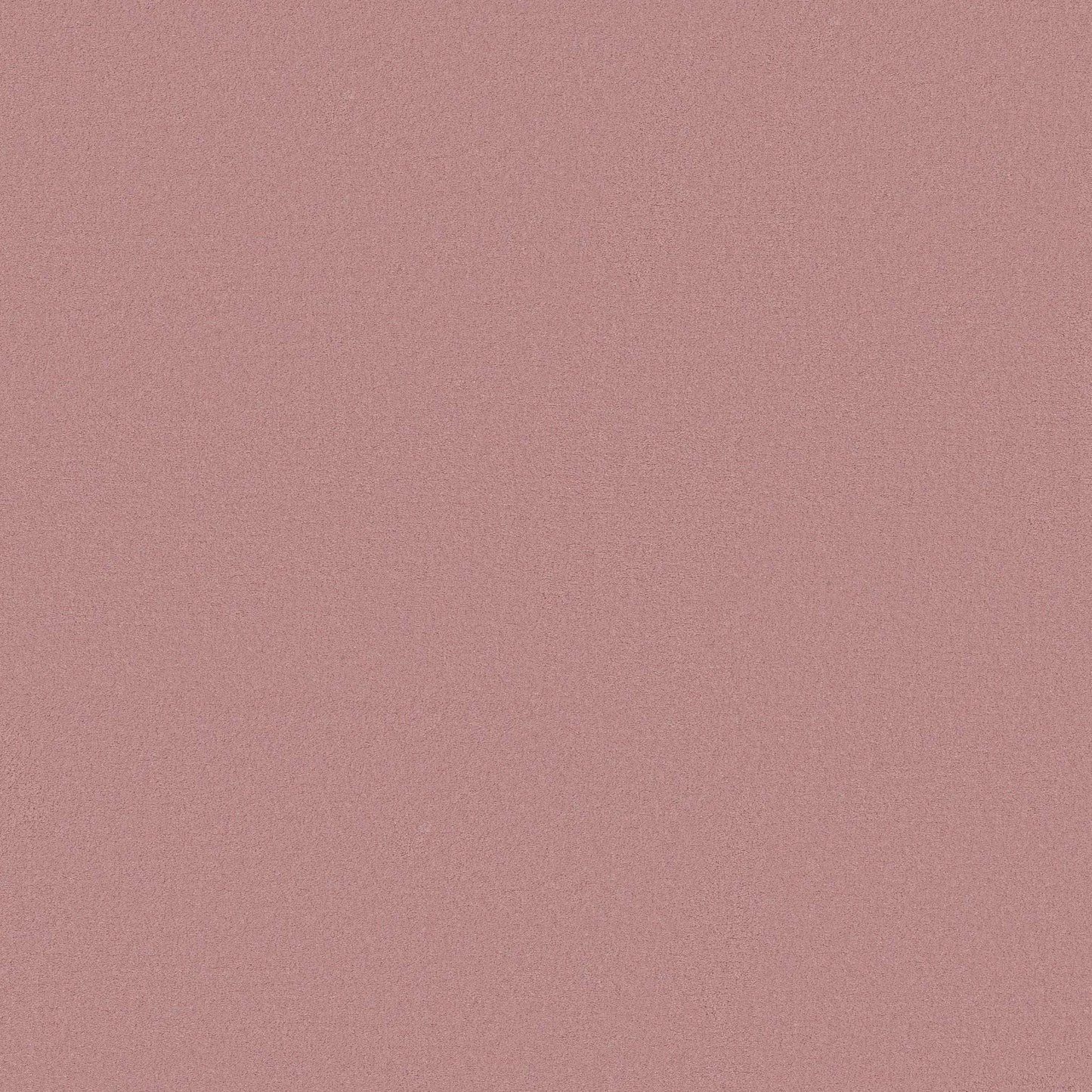 TEXTURE BCF
