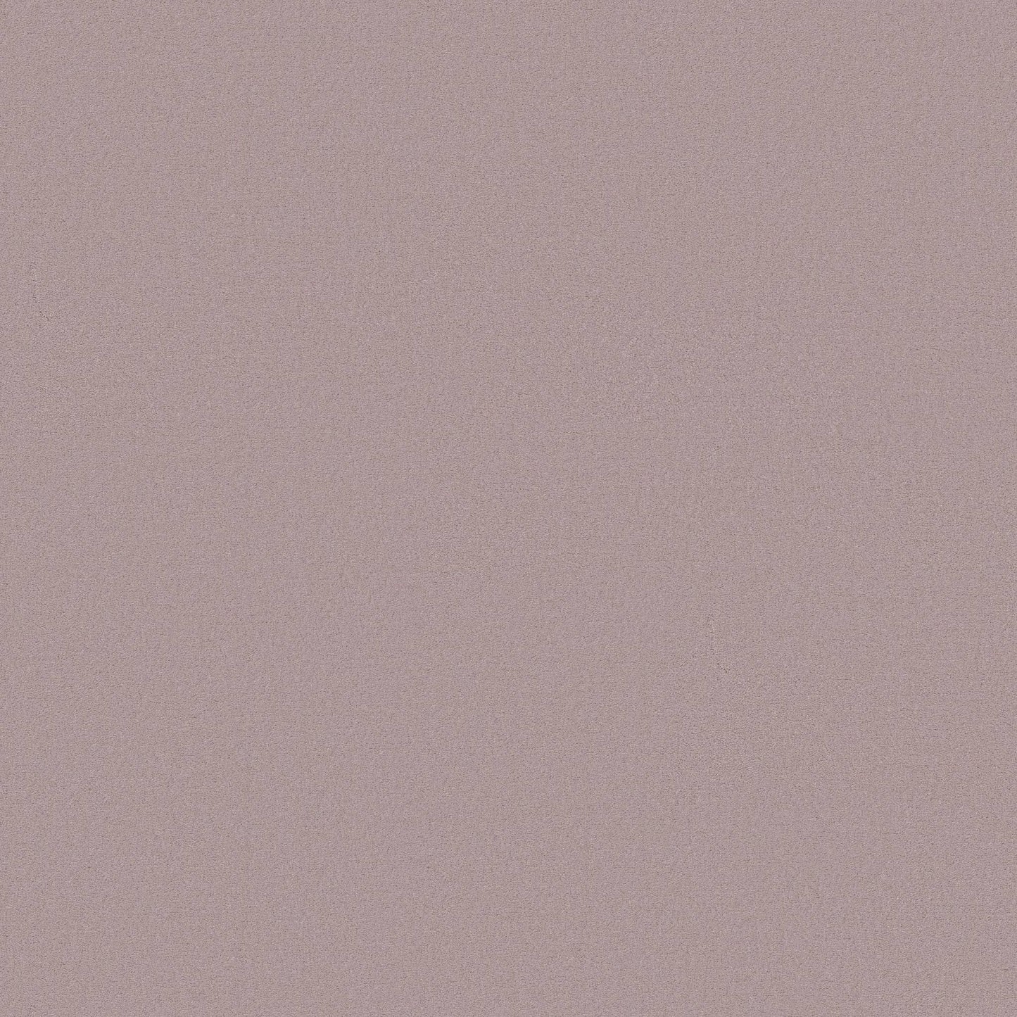 TEXTURE BCF