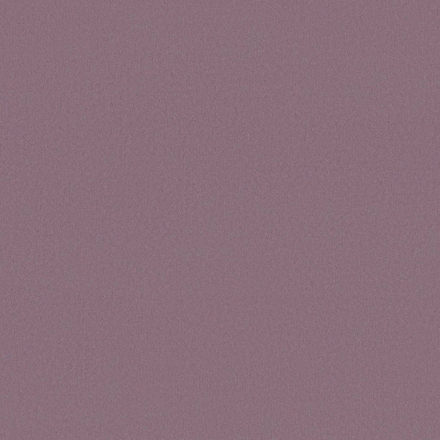 TEXTURE BCF