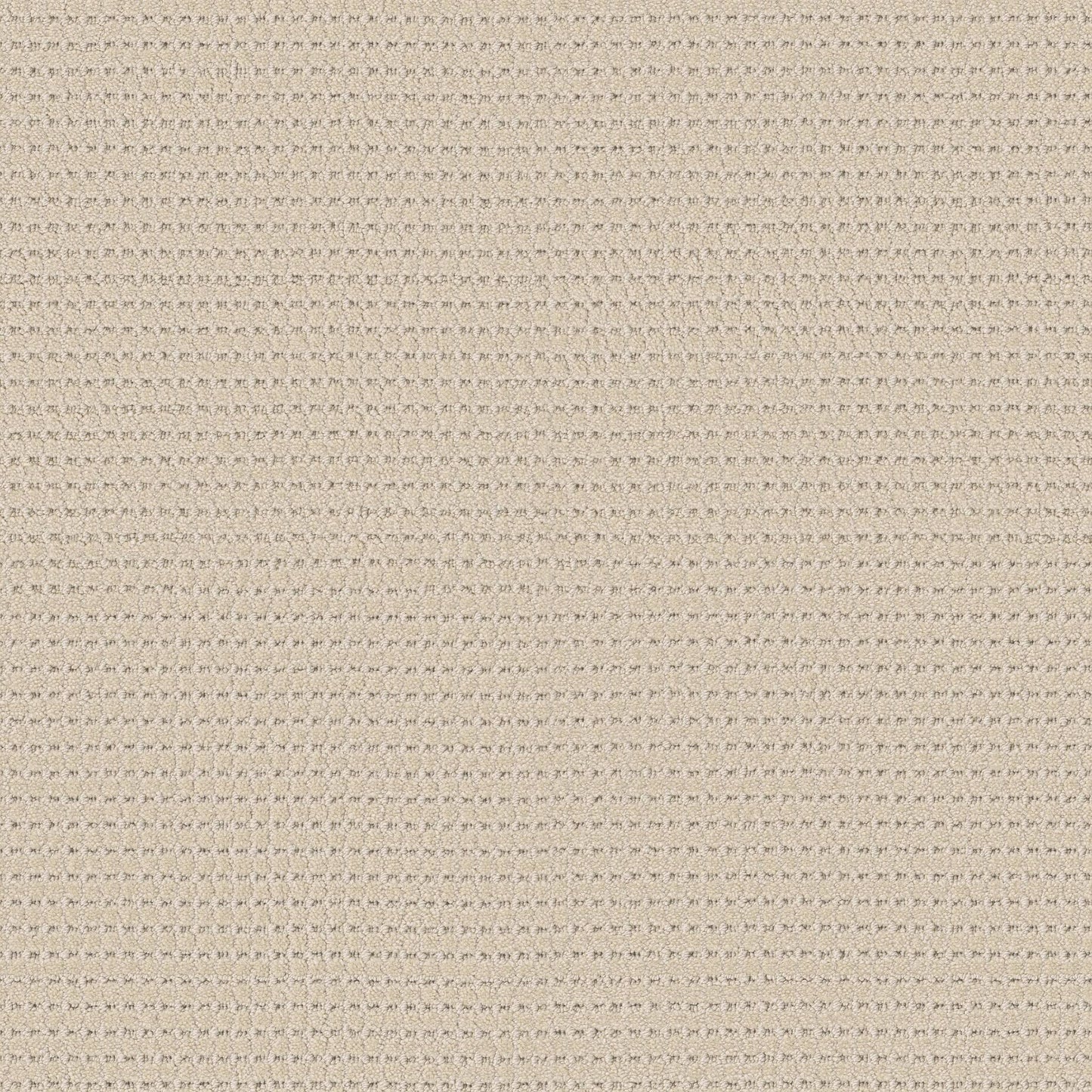BERBER NYLON LOOP