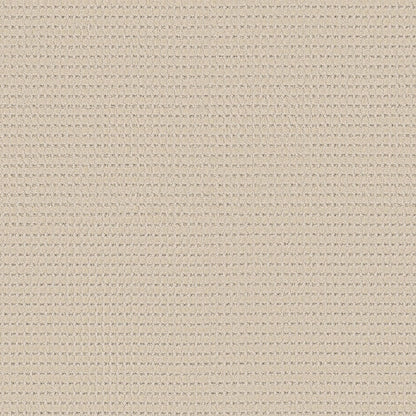 BERBER NYLON LOOP