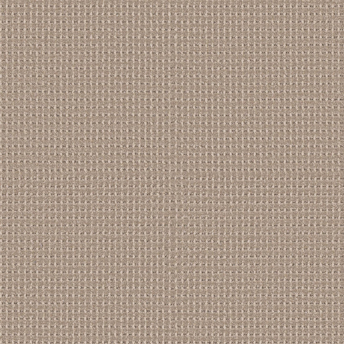 BERBER NYLON LOOP