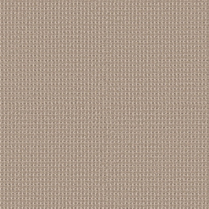 BERBER NYLON LOOP