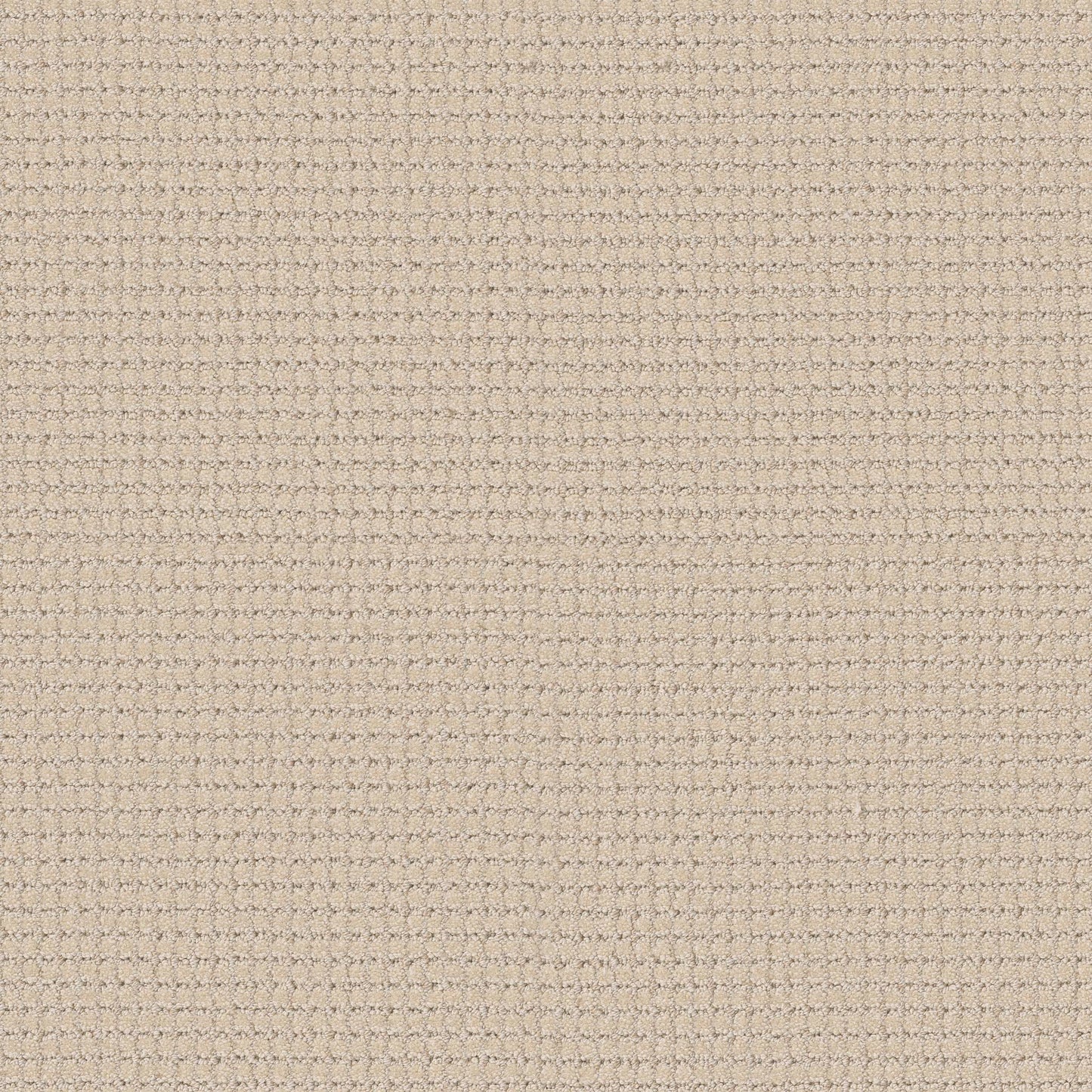 BERBER NYLON LOOP