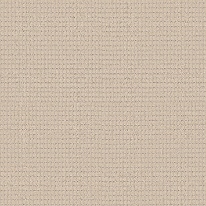 BERBER NYLON LOOP